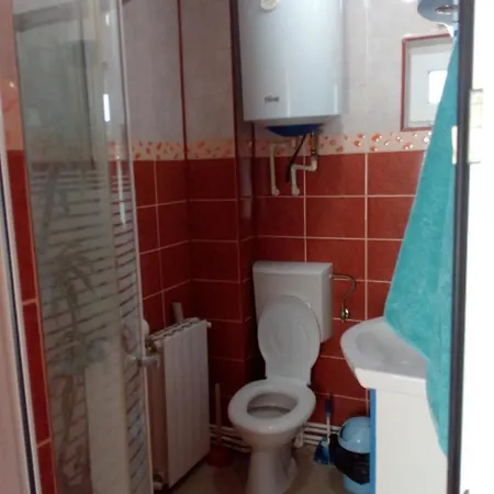 Strada Trandafirilor Casa De Vacanta * אולימפ
